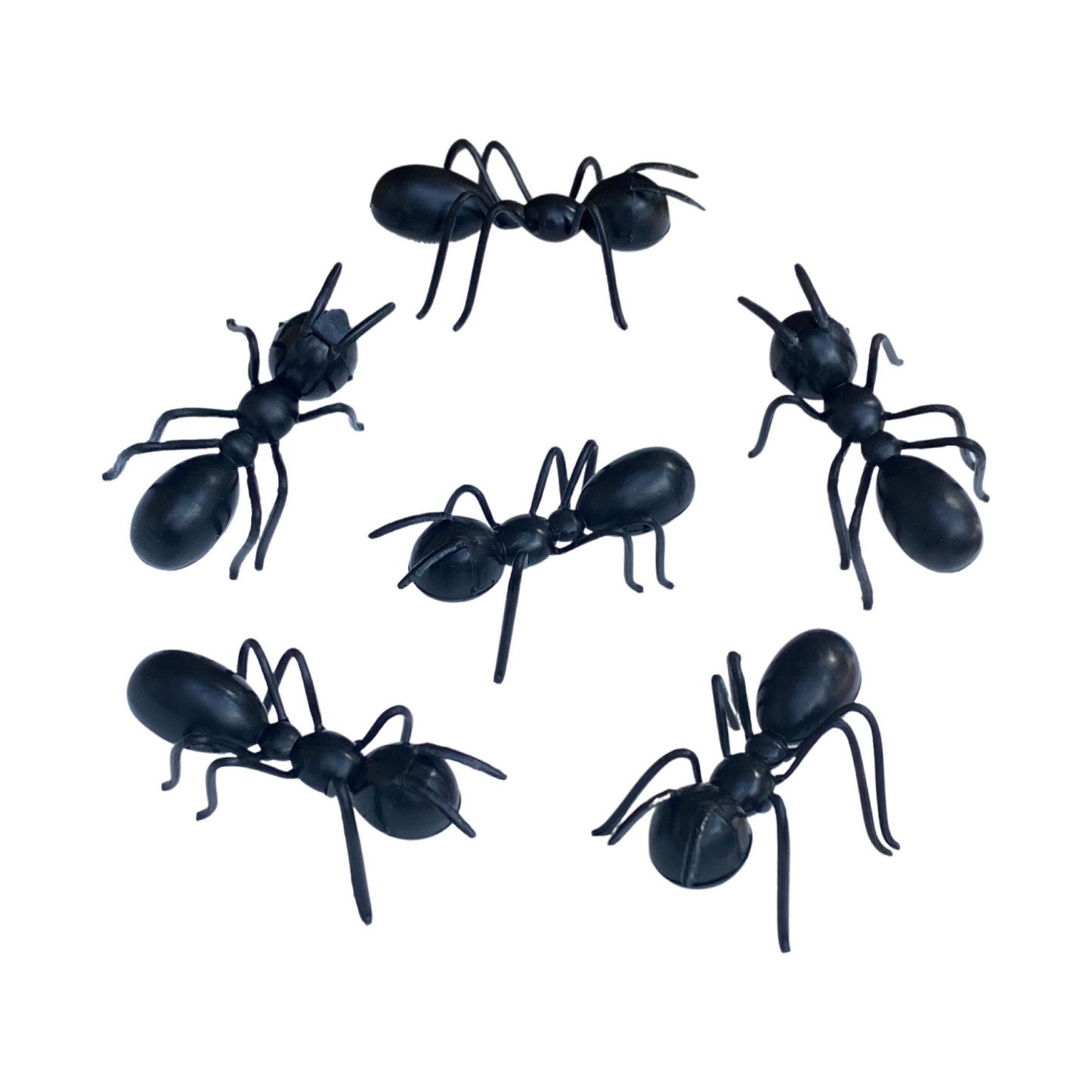 Large 3-D Ants (set of 12)